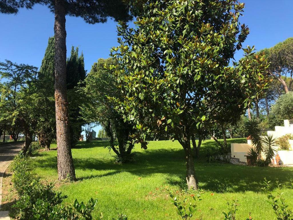 Residenza Verdemare Misano Adriatico Exterior foto